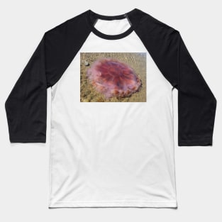 Washed Up Lion's Mane Jellyfish Photo Baseball T-Shirt